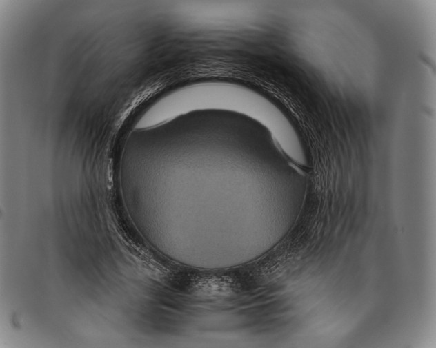 X0000096480731200802211214