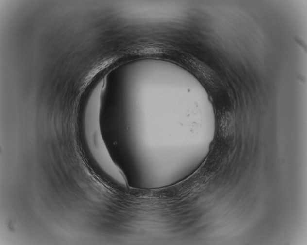 X0000096480732200802211214