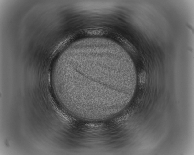 X0000096480733200802211214