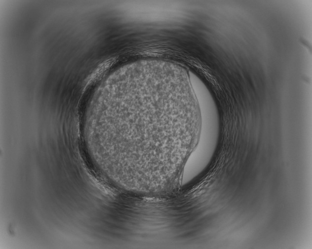X0000096480734200802211214