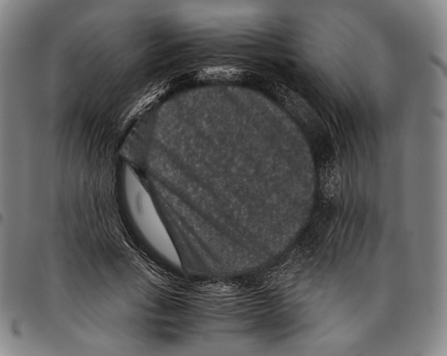 X0000096480735200802211214