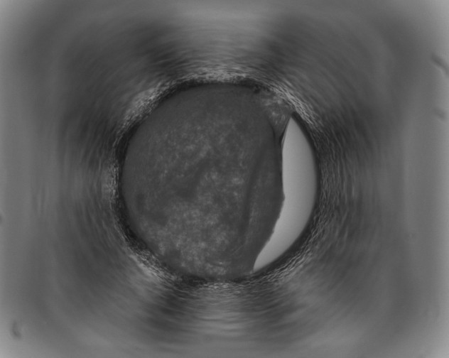 X0000096480736200802211214