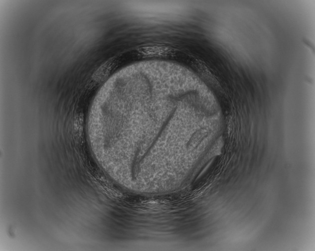 X0000096480737200802211214