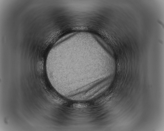 X0000096480739200802211214