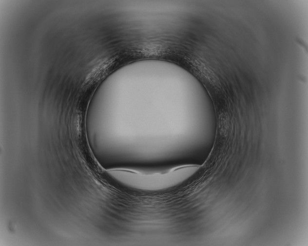 X0000096480740200802211214