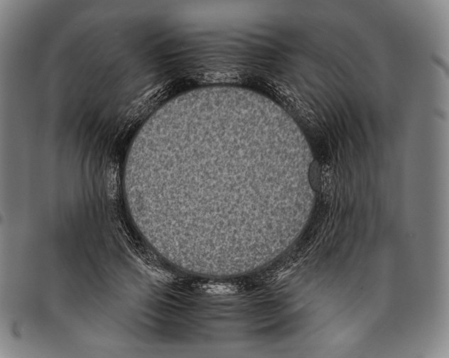 X0000096480741200802211214
