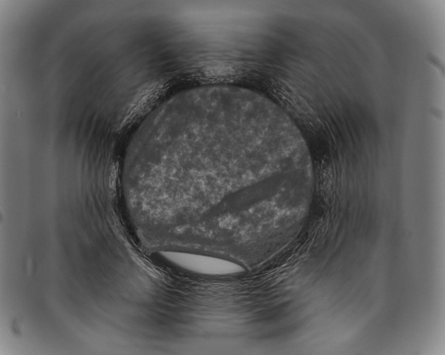 X0000096480742200802211214