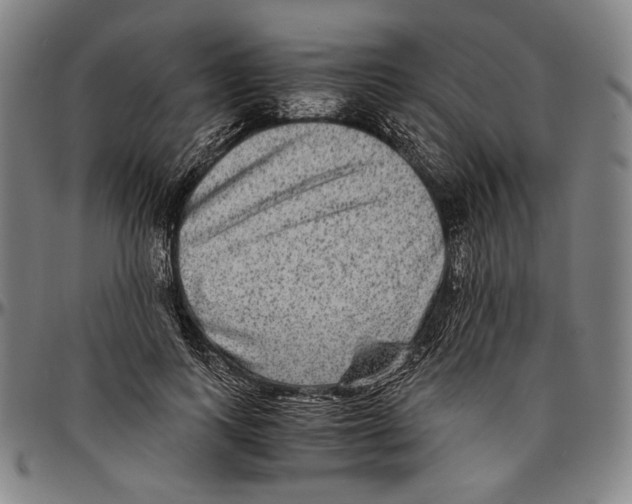 X0000096480743200802211214