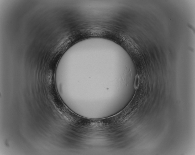 X0000096480744200802211214