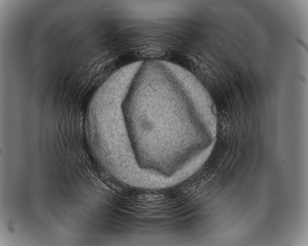 X0000096480745200802211214