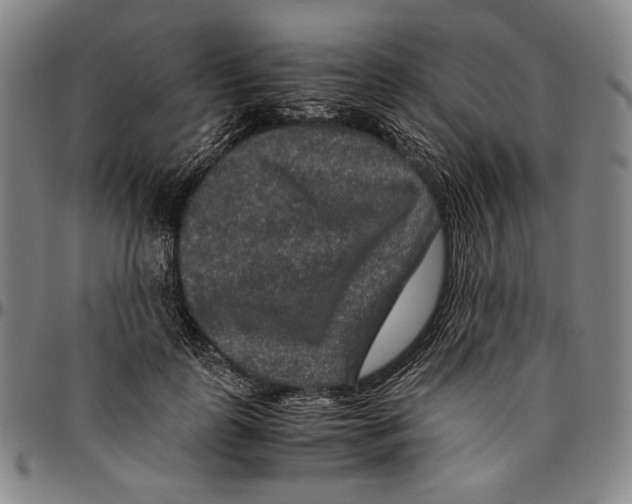 X0000096480747200802211214
