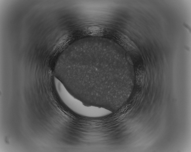 X0000096480748200802211214