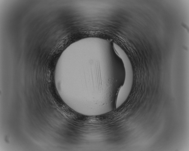X0000096480750200802211214