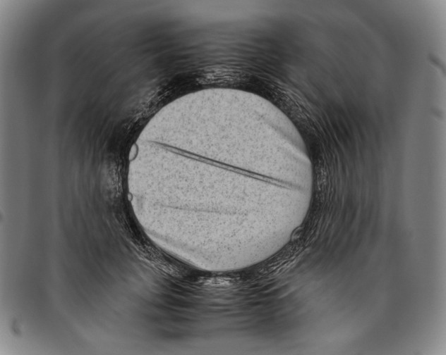 X0000096480751200802211214