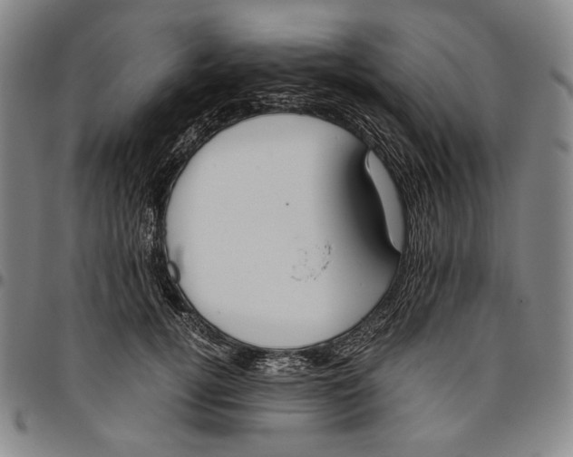 X0000096480752200802211214