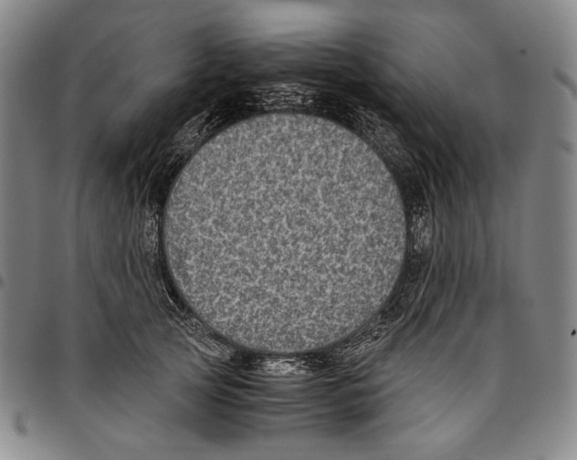 X0000096480753200802211214