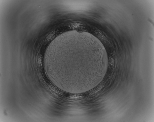 X0000096480754200802211214