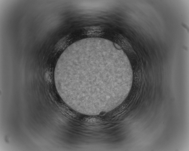 X0000096480755200802211214