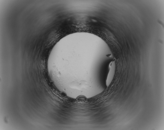 X0000096480756200802211214