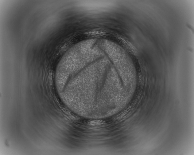 X0000096480757200802211214