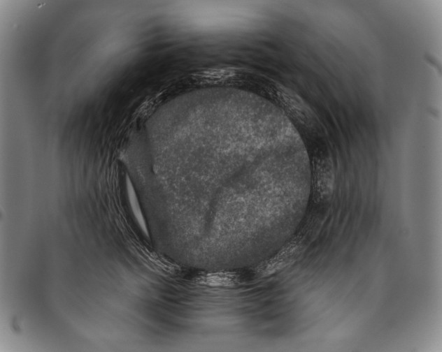X0000096480758200802211214