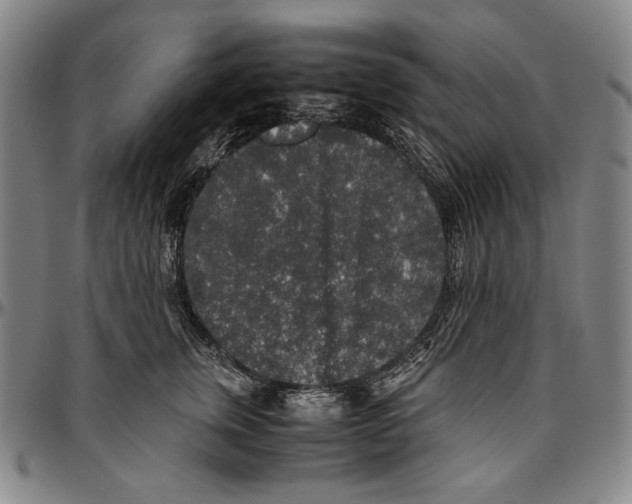X0000096480759200802211214