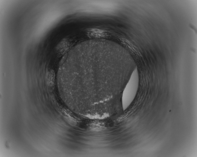 X0000096480760200802211214