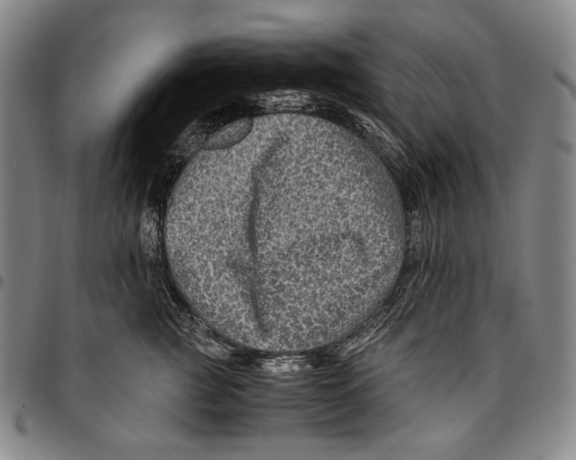X0000096480761200802211214