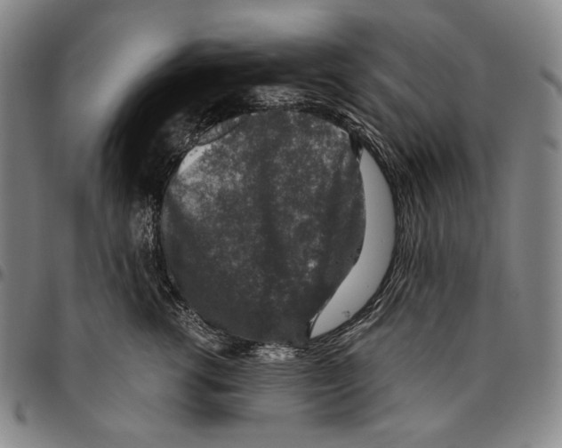 X0000096480762200802211214