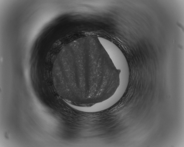 X0000096480763200802211214