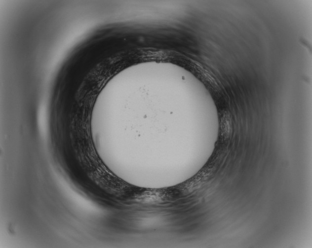 X0000096480764200802211214