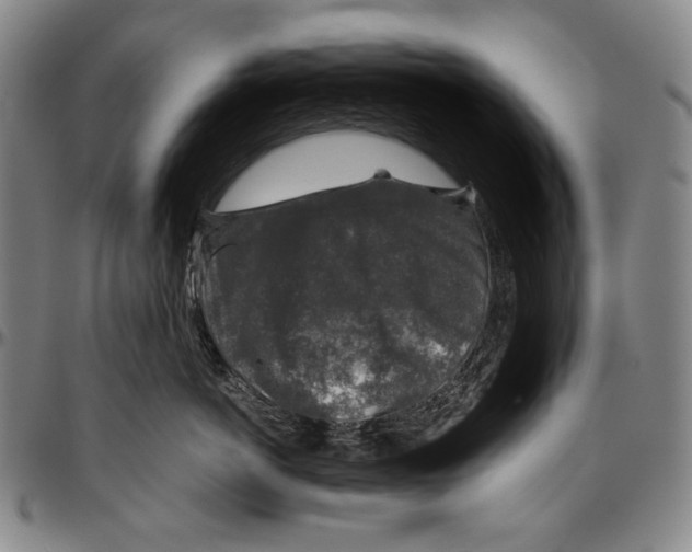 X0000096480766200802211214