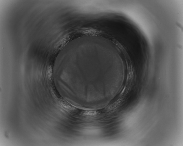 X0000096480767200802211214
