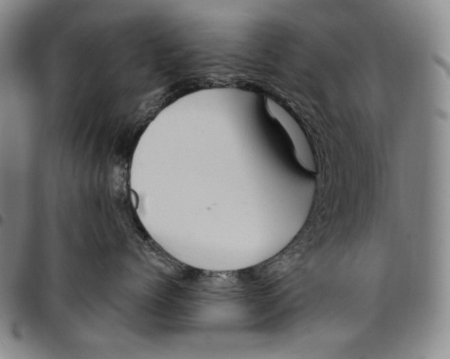 X0000096480768200802211214
