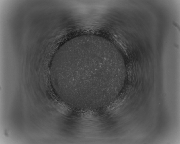 X0000096480769200802211213
