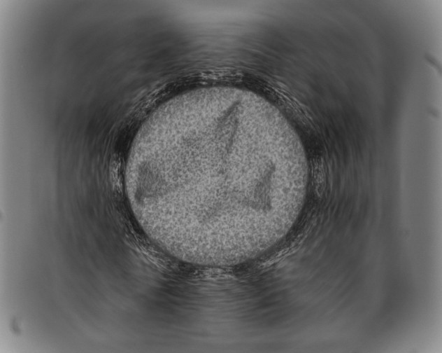 X0000096480770200802211213