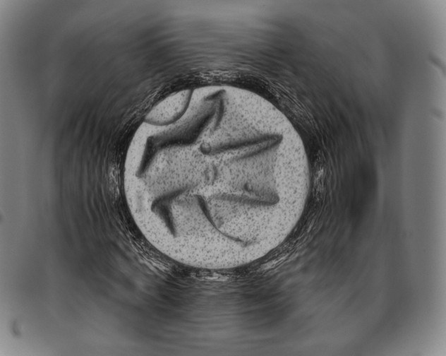X0000096480772200802211213