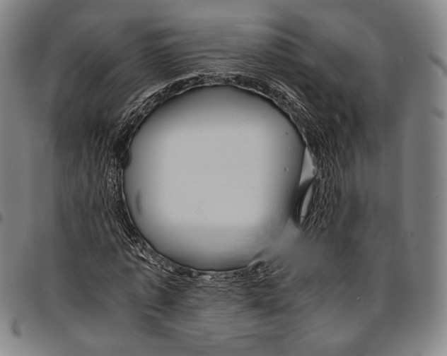 X0000096480773200802211213