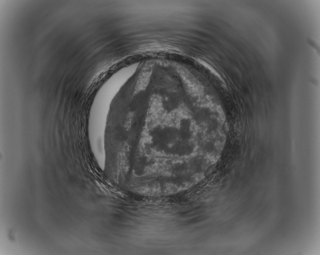 X0000096480775200802211213