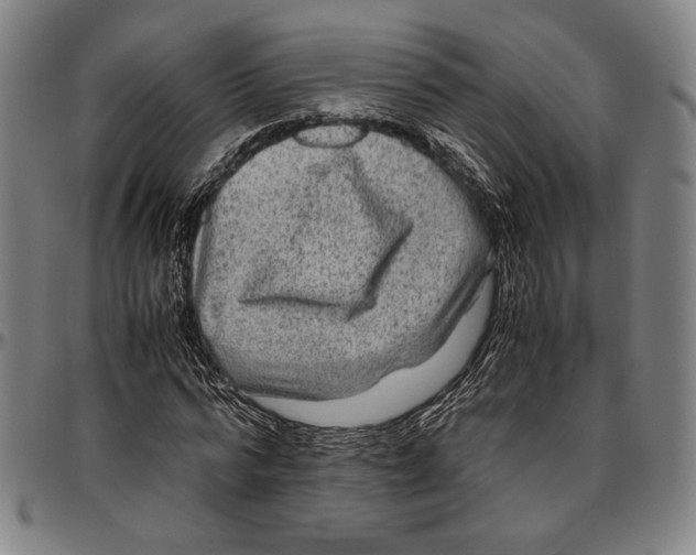 X0000096480776200802211213