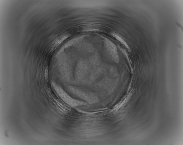 X0000096480777200802211213