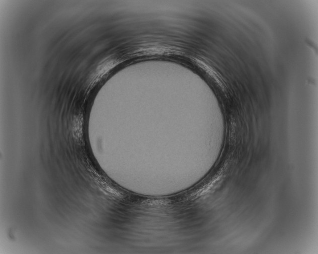 X0000096480778200802211213