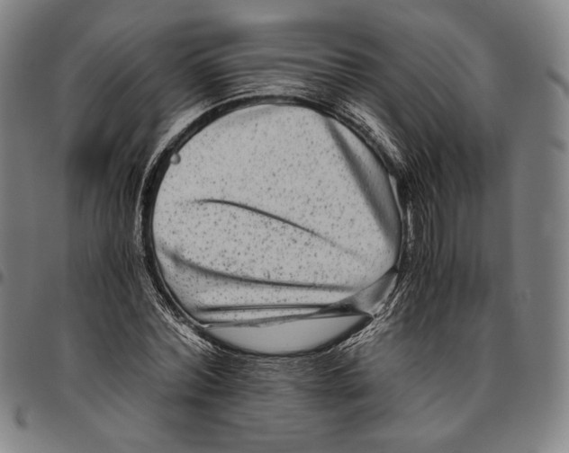 X0000096480780200802211213