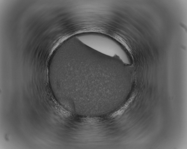 X0000096480781200802211213