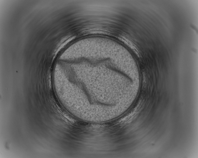 X0000096480782200802211213