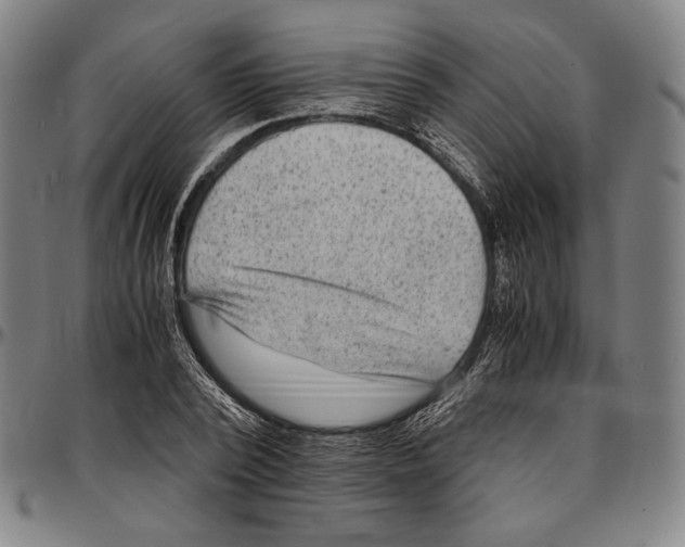 X0000096480784200802211213