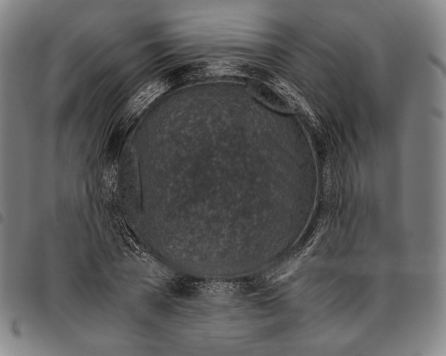 X0000096480785200802211213
