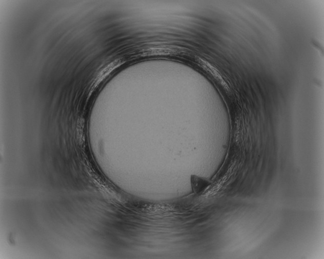 X0000096480786200802211213