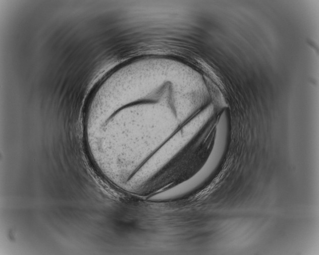X0000096480787200802211213