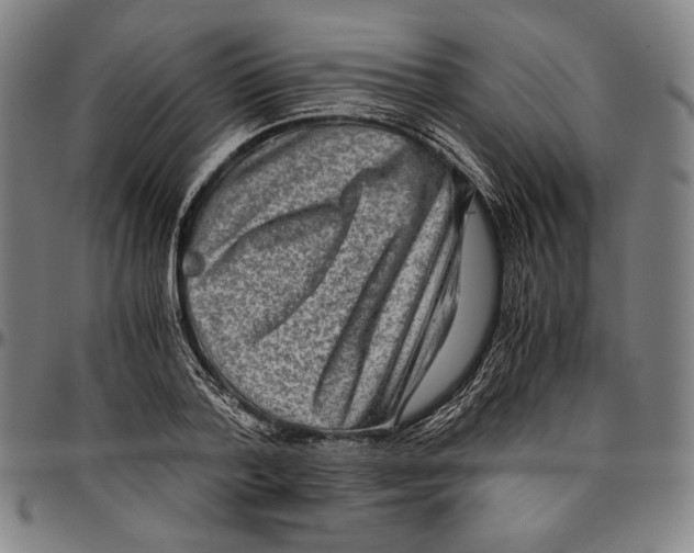 X0000096480788200802211213